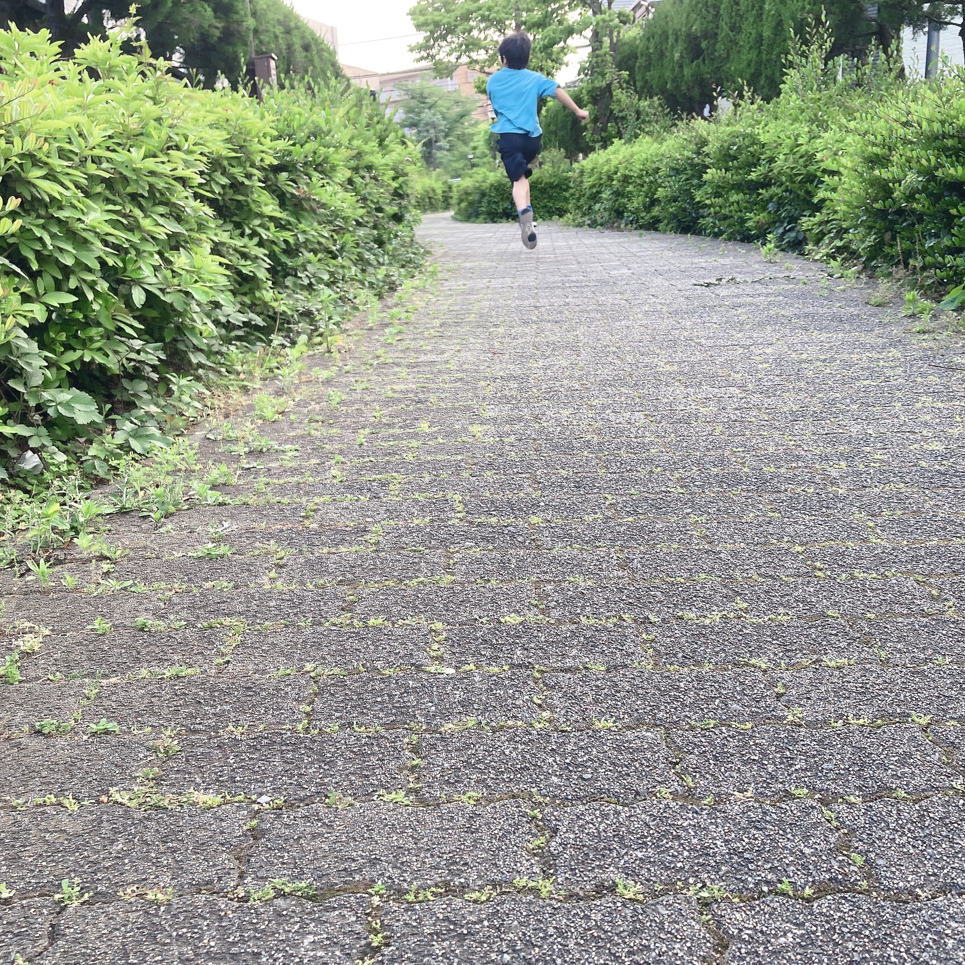 緑の木々に囲まれた道を走る子ども。ADHDでも資産形成はできるというブログ記事のイメージ画像